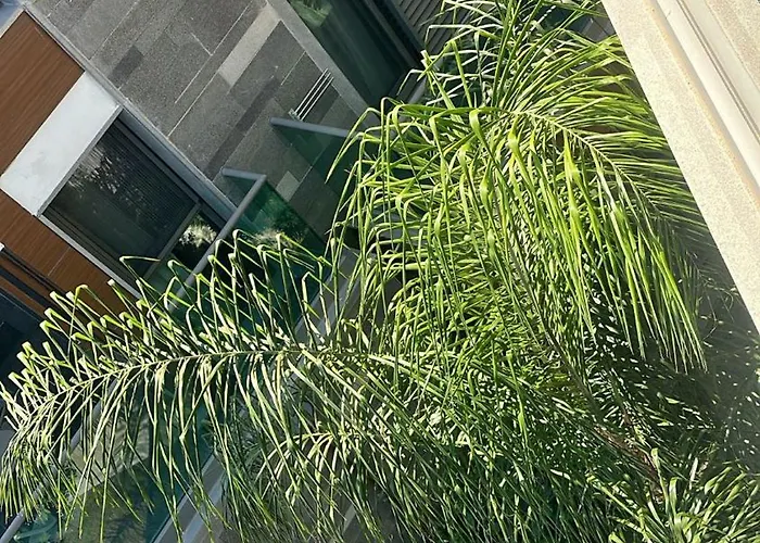 Palm Hills Bodrum Otel Gündoğan