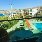 ホテル Palm Hills Bodrum