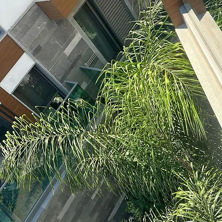 Palm Hills Bodrum Отель Гюндоган
